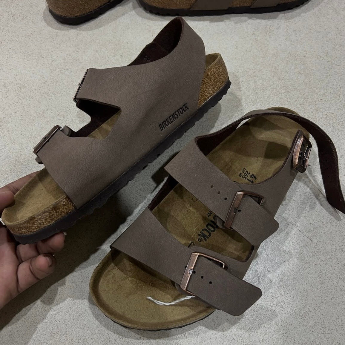 z Birken