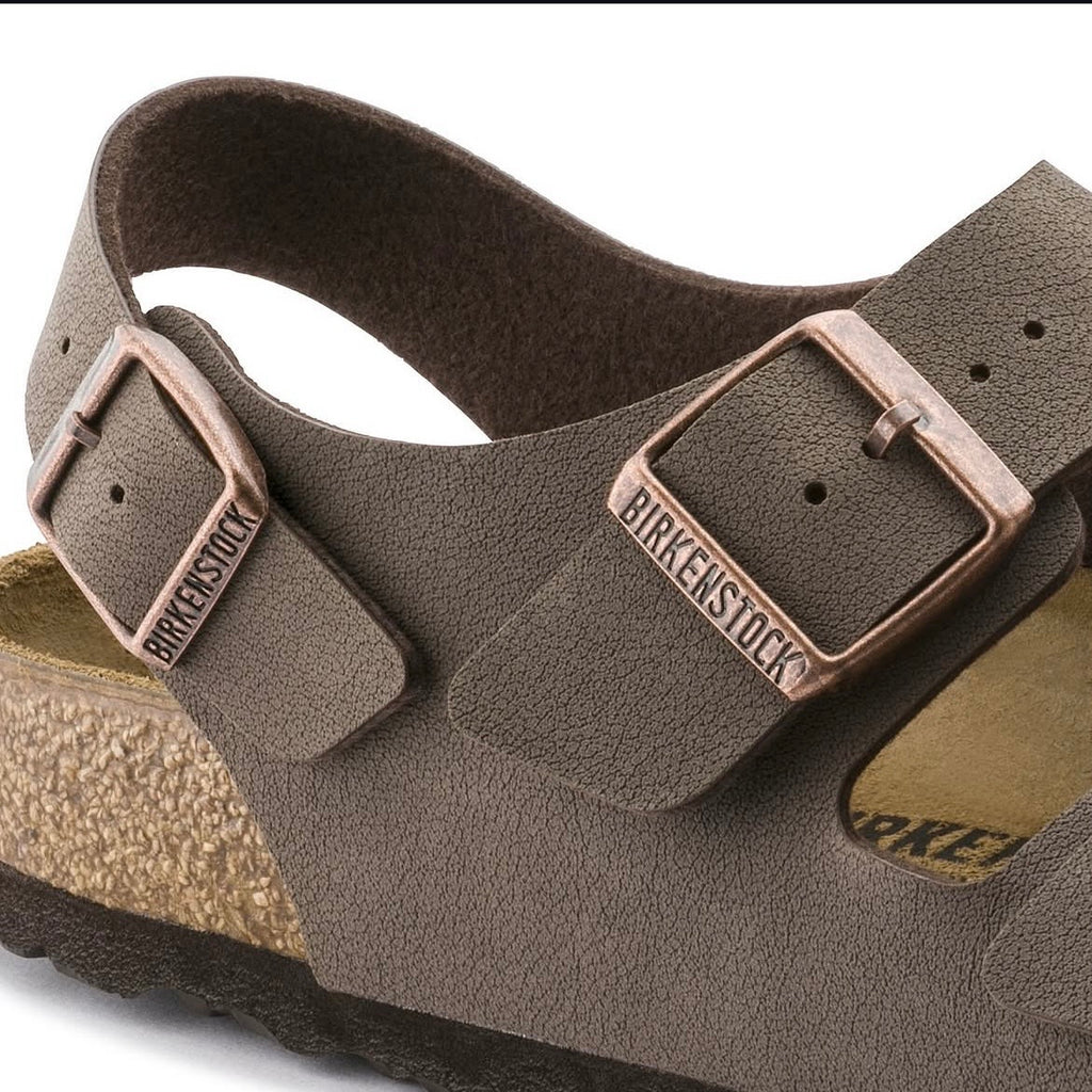 z Birken